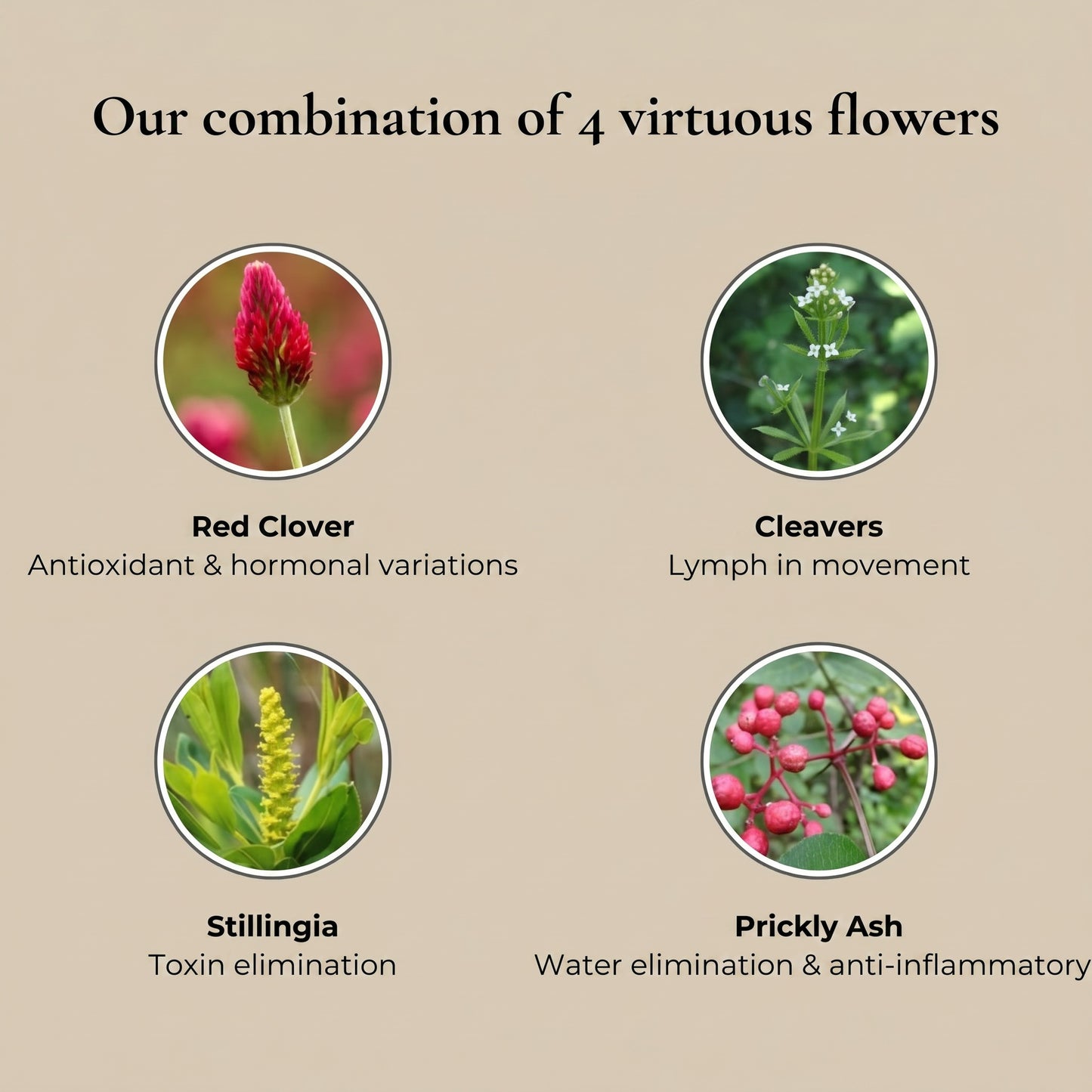 Lymforia® The Lymphatic Drainage Elixir