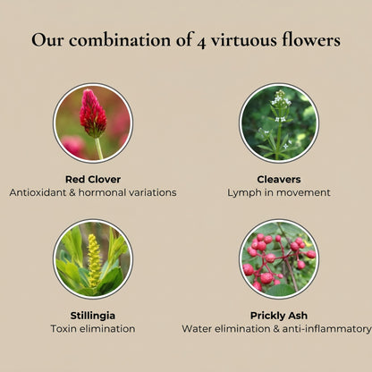 Lymforia® The Lymphatic Drainage Elixir